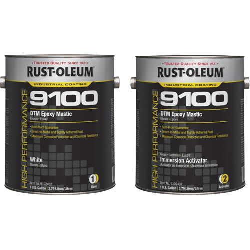 9100 System DTM Epoxy Mastic Base & Activator Kit, White, Gallon Groupe Belzile Dickner