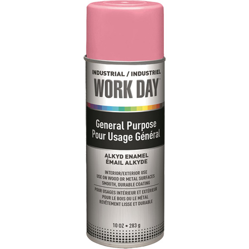 Industrial Work Day Paint, Pink, Gloss, 10 oz., Aerosol Can Groupe Belzile Dickner