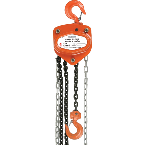 Chain Hoist, 10' Lift, 1000 lbs. Capacity, Alloy Steel Chain Groupe Belzile Dickner