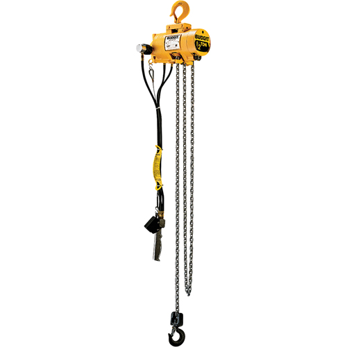 Budgit&reg; Air Chain Hoists Groupe Belzile Dickner