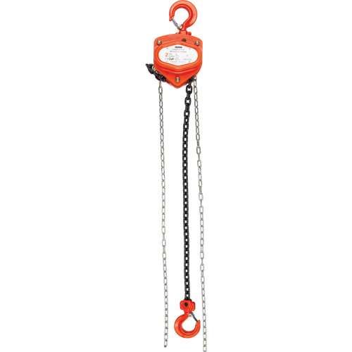 Chain Hoist, 10' Lift, 10000 lbs. (5 tons) Capacity, Alloy Steel Chain Groupe Belzile Dickner