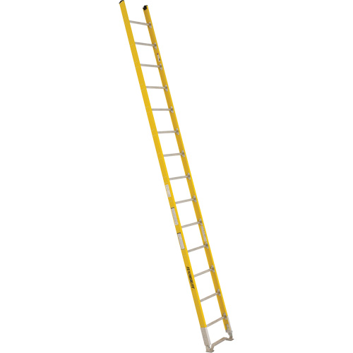&eacute;chelle simple &agrave; une section - S&eacute;rie 6100, 14', Fibre de verre, 375 lb, CSA calibre 1AA Groupe Belzile Dickner