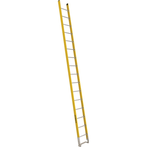 Single Section Straight Ladder - 6100 Series, 16', Fibreglass, 375 lbs., CSA Grade 1AA Groupe Belzile Dickner
