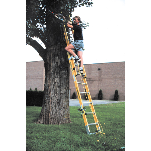 Industrial Heavy-Duty Extension Ladders (6200 Series), 375 lbs. Cap., 13' H, Grade 1AA Groupe Belzile Dickner