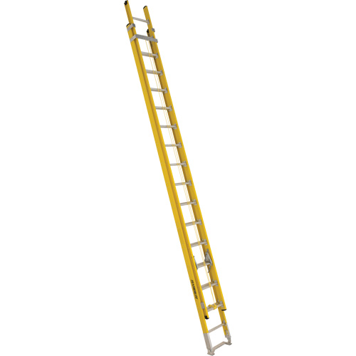 Industrial Heavy-Duty Extension Ladders (6200 Series), 375 lbs. Cap., 29' H, Grade 1AA Groupe Belzile Dickner