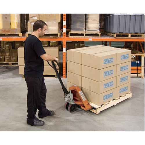 Heavy-Duty Manual Pallet Truck, Steel, 42" L x 27" W, 5500 lbs. Capacity Groupe Belzile Dickner