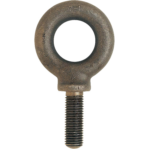 Boulon &agrave; œil m&eacute;trique, 51 mm dia, 70 mm lo, 11 400 lb (5,7 tonnes) capacit&eacute; Groupe Belzile Dickner