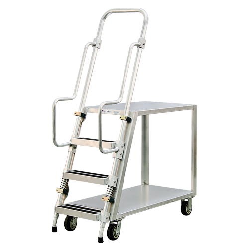 Chariot de pr&eacute;paration en aluminium avec &eacute;chelle, Aluminium, 22" la x 51-1/2" p, 2 tablettes, Capacit&eacute; 800 lb Groupe Belzile Dickner