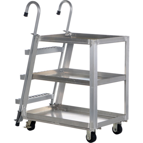 Stockpicker Truck, Aluminum, 21-7/8" W x 40" D, 3 Shelves, 660 lbs. Capacity Groupe Belzile Dickner