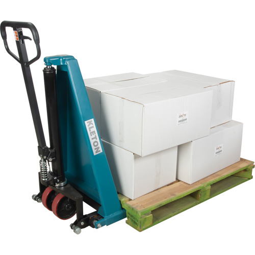 Manual Scissor Skid Lift, 45-1/4" L x 27" W, Steel, 3300 lbs. Capacity Groupe Belzile Dickner