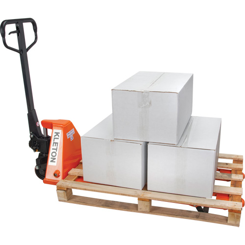 Low Profile Hydraulic Pallet Trucks, 48" L x 20.5" W, 3300 lbs. Cap. Groupe Belzile Dickner