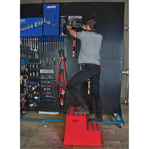 Industrial Step Stool, 2 Steps, 26" x 22-7/16" x 19-11/16" High Groupe Belzile Dickner