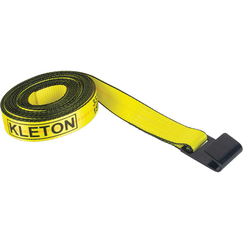 Tendeur d'arrimage logistique, Crochet plat, 2" , 30' , Charge d'utilisation max. 3335 lb (1512 kg) Groupe Belzile Dickner