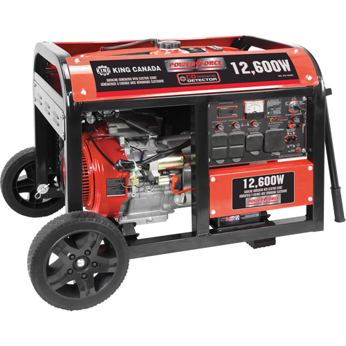 Gasoline Generator with Electric Start, 12600 W Surge, 9000 W Rated, 120 V/240 V, 31 L Tank Groupe Belzile Dickner