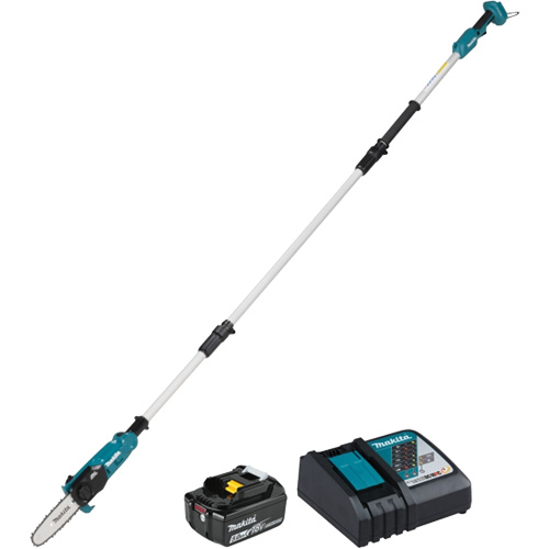 LXT Brushless 5' or 8' Pole Chainsaw Kit Groupe Belzile Dickner
