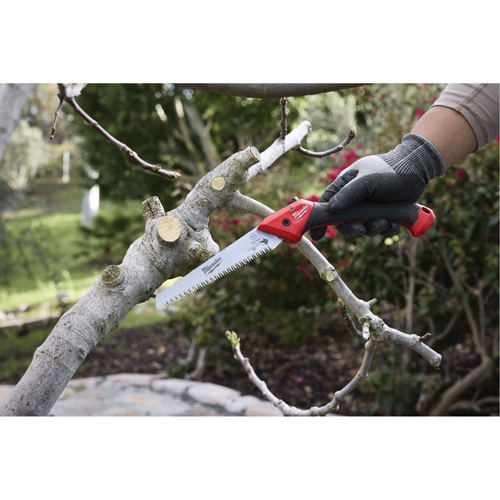7” Folding Pruning Saw with ?Straight Blade Groupe Belzile Dickner