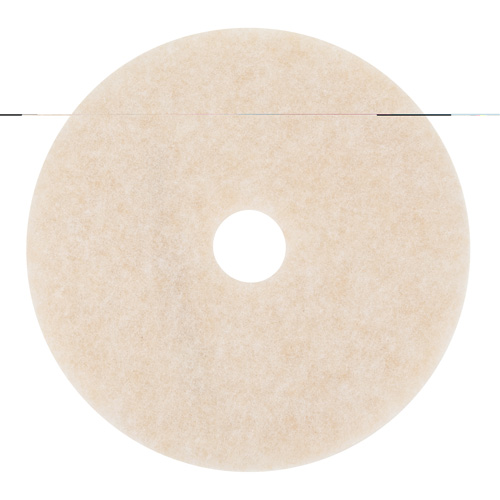 TopLine Speed Floor Pad, 20", Burnishing, Beige Groupe Belzile Dickner