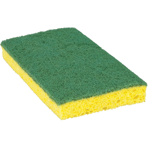 Scotch-Brite Medium Duty Scrub Sponge, Scrubbing, 3-3/5" W x 6-1/10" L Groupe Belzile Dickner