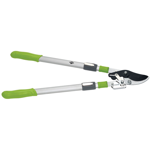 Lopping Shears - By-Pass Ratchet Style Groupe Belzile Dickner