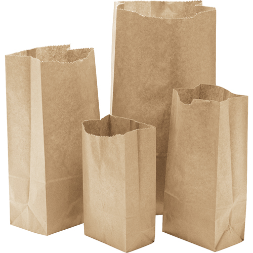 Paper Bags, Paper, 4-3/16" W x 8-0/0" L Groupe Belzile Dickner