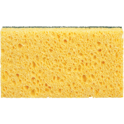Utility Sponges, Cellulose, 6" W x 3-1/2" L Groupe Belzile Dickner