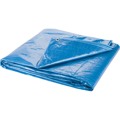 Tarp, Standard Duty, Blue, 7' x 5' x 4 mils Groupe Belzile Dickner