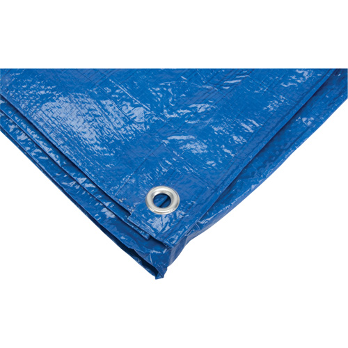 Tarp, Standard Duty, Blue, 7' x 5' x 4 mils Groupe Belzile Dickner