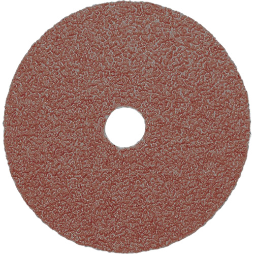 Resin Fibre Sanding Disc, Aluminum Oxide, A24, 5" Dia x 7/8" Arbor Groupe Belzile Dickner