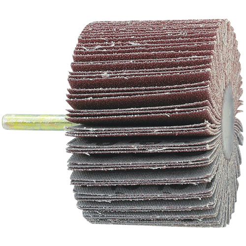 Shaft Mounted Flapwheel, 60 Grit, 1-1/2" x 1/4" Groupe Belzile Dickner