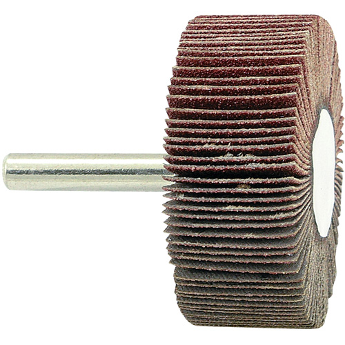 Disque &agrave; lamelles mont&eacute; sur mandrin, Grain 80, 2" x 3/4" x 1/4" Groupe Belzile Dickner