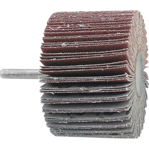 Mounted Flapwheel, 60 Grit, 3" x 1" x 1/4" Groupe Belzile Dickner