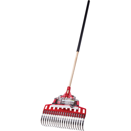 Multi-Purpose Lawn Rake, 20" Blade, 20 Tines, Hardwood Handle, Steel Blade Groupe Belzile Dickner