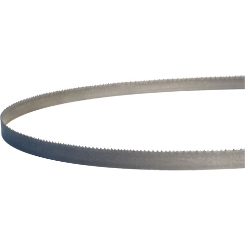Lames de scie &agrave; ruban portatives Master-Band, Bim&eacute;tal, 18 Dents par pouce, 44-7/8" lo x 1/2" la Groupe Belzile Dickner