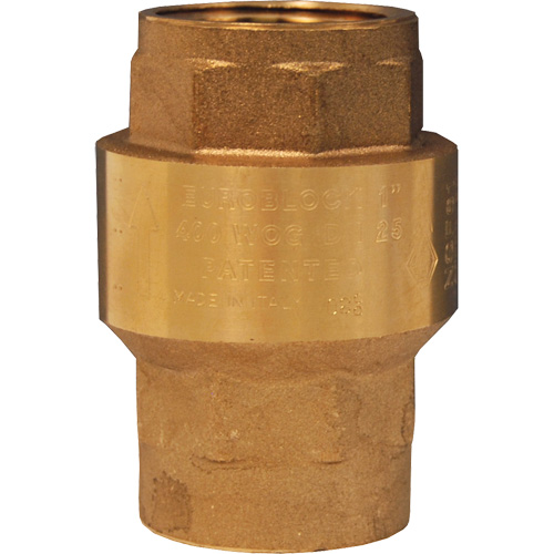 Spring-Loaded Check Valve Groupe Belzile Dickner