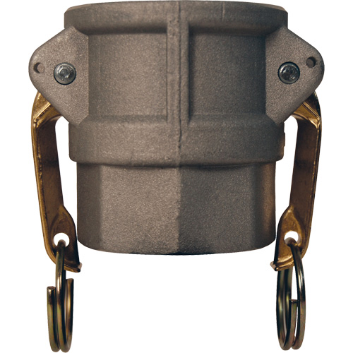 Global Cam & Groove Coupler, Aluminum, Type D, 2-1/2", Female NPT, 250 PSI Groupe Belzile Dickner