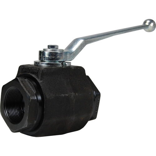 High Pressure Full-Bore Ball Valve, Steel, Manual, FNPT x FNPT Groupe Belzile Dickner