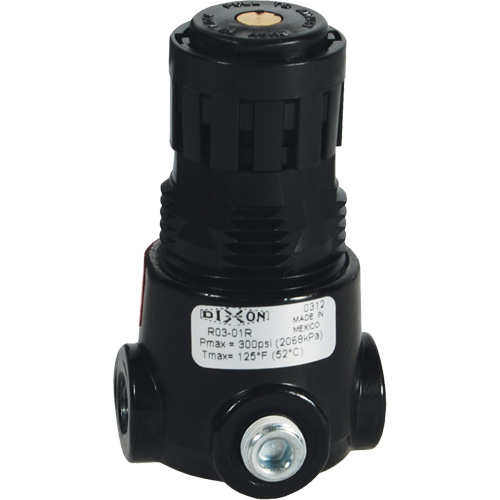 Wilkerson Miniature Regulator R03, 1/4" NPT, 300 psi Max. PSI, Standard Groupe Belzile Dickner