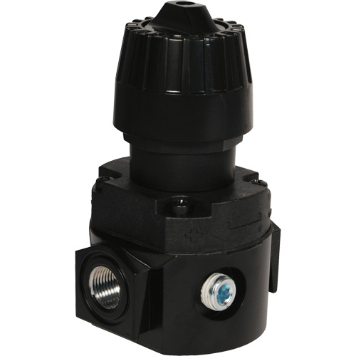 Wilkerson Compact Regulator R16, 1/4" NPT, 300 psi Max. PSI, Standard Groupe Belzile Dickner