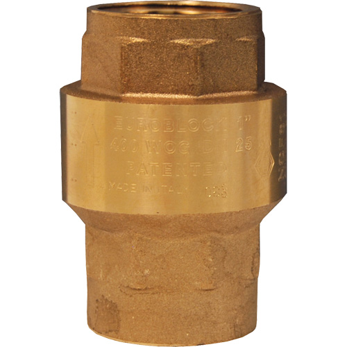 Horizontal Swing Check Valve Groupe Belzile Dickner