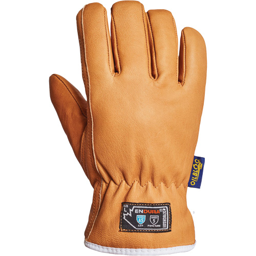 Gants Endura, Grand, Paume en Synth&eacute;tique, Doublure en Thinsulate Groupe Belzile Dickner