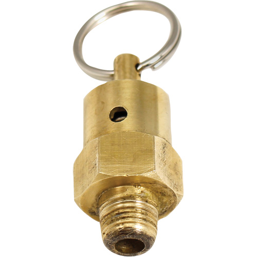 Viton&reg; Pressure Relief Valve Groupe Belzile Dickner