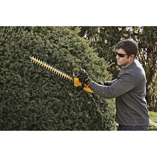 Taille-haie MAX*, 22", 20 V, &agrave; pile Groupe Belzile Dickner