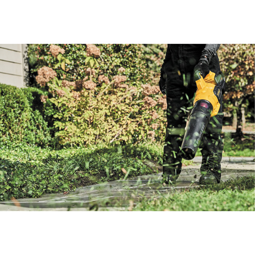 Max* FlexVolt&reg; Brushless Cordless Handheld Axial Blower, 60 V, 125 MPH Output, Battery Powered Groupe Belzile Dickner