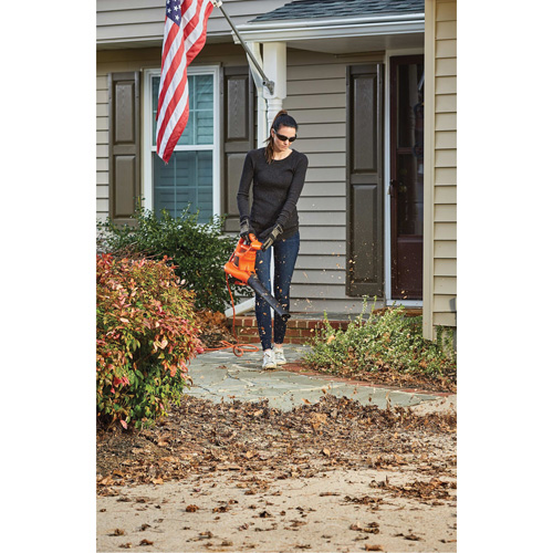 3-in-1 VacPack Leaf Blower/Vacuum/Mulcher, 250 MPH Output, Electric Groupe Belzile Dickner