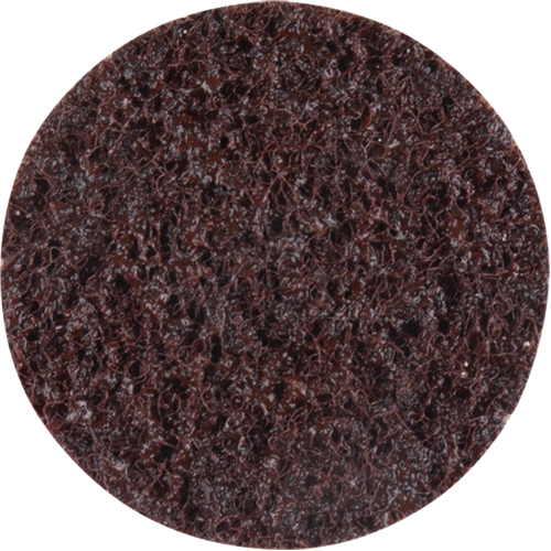 Standard Abrasives Surface Conditioning Discs, 2" Dia., Coarse Grit Groupe Belzile Dickner