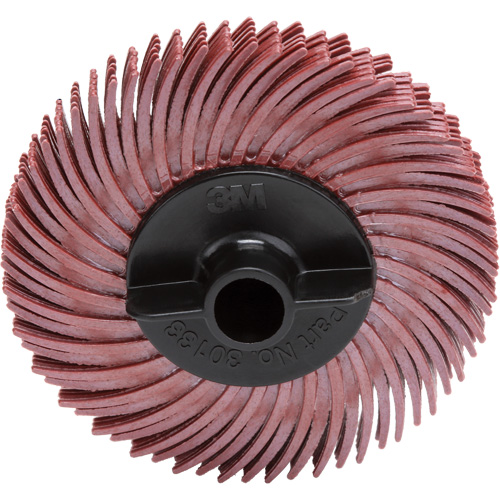 Scotch-Brite Radial Bristle Disc, RB-ZB, Ceramic, 220 Grit, 2" Dia. Groupe Belzile Dickner
