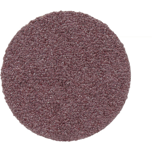 Disque PSA en toile 348D, 20" dia., Grain 50, Oxyde d'aluminium Groupe Belzile Dickner