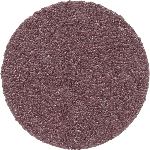 Meule en toile PSA 348D, 20" dia., Grain 60, Oxyde d'aluminium Groupe Belzile Dickner