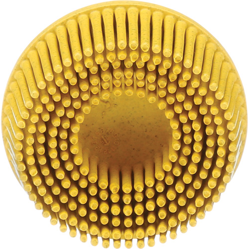 Scotch-Brite Roloc Bristle Disc, Ceramic, Medium Grit, 2" Dia. Groupe Belzile Dickner