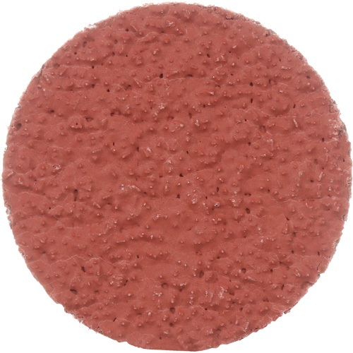 Disque &agrave; d&eacute;ligner durable II Roloc Cubitron, 2" dia., Grain 36+, C&eacute;ramique Groupe Belzile Dickner